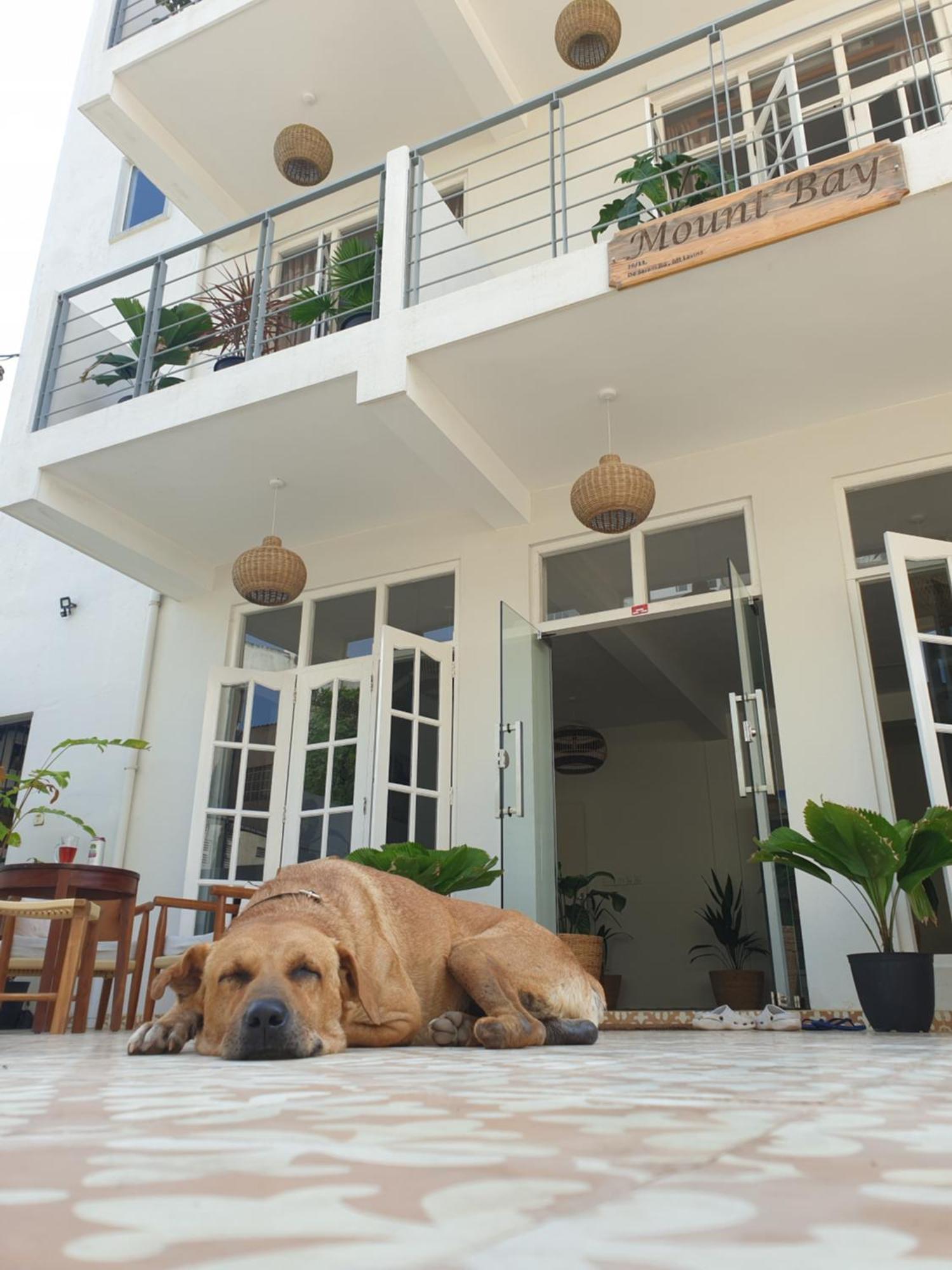 Mountbaylk Hotell Dehiwala-Mount Lavinia Exteriör bild