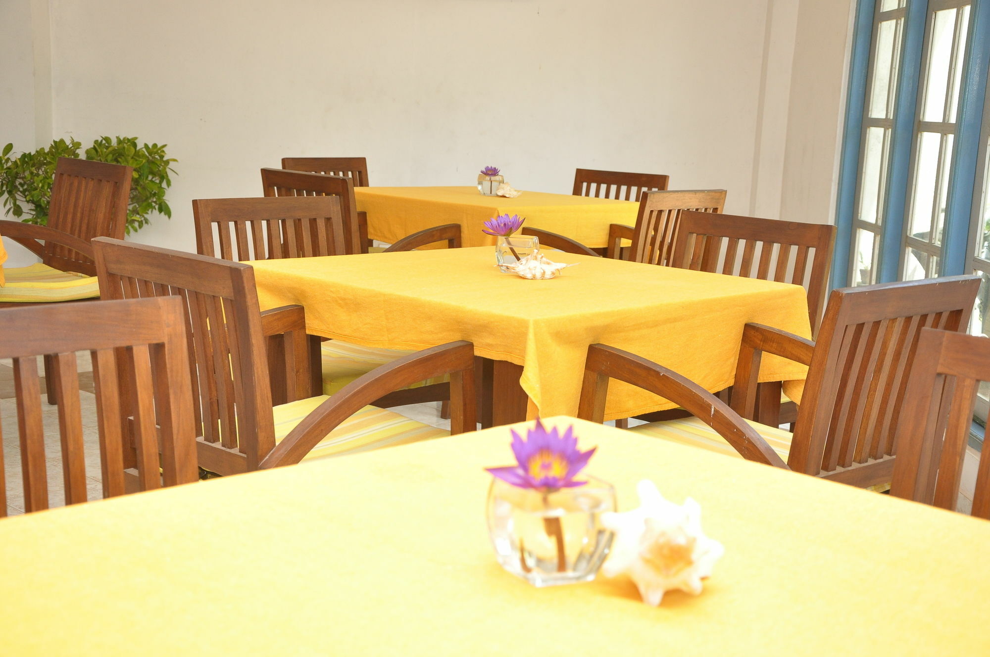 Mountbaylk Hotell Dehiwala-Mount Lavinia Exteriör bild